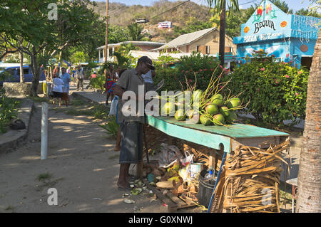 Dh Bequia island ST VINCENT CARAIBI uomo locale dei caraibi venditore di cocco noci di cocco di fresatura per bere Foto Stock