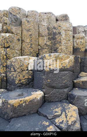 Giants Causeway di Antrim, Irlanda del Nord Foto Stock