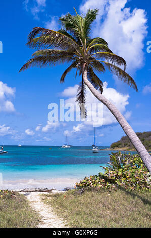 dh Mayreau Island ST VINCENT CARIBBEAN Saltwhistle Bay Beach yachts palm Tree Saint Vincent e Grenadine isole panoramiche Foto Stock
