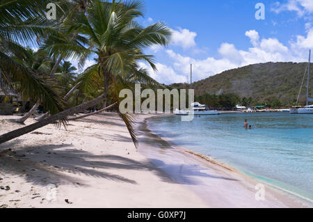 Dh Mayreau isola ST VINCENT CARAIBI Saltwhistle Bay beach Palm tree Saint Vincent e Grenadine Foto Stock