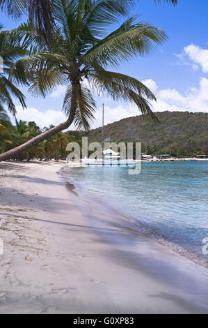 Dh Mayreau isola St Vincent turistico caraibi famiglia Saltwhistle Bay beach Palm tree Saint Vincent e Grenadine Foto Stock