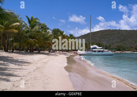 dh Mayreau Island ST VINCENT CARIBBEAN Saltwhistle Bay Beach Palm Yacht alberi Saint Vincent e Grenadine barche a vela Foto Stock