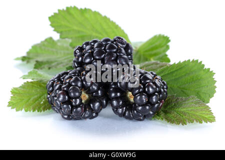 Blackberry frutto di more berry bacche con foglie isolate su uno sfondo bianco Foto Stock