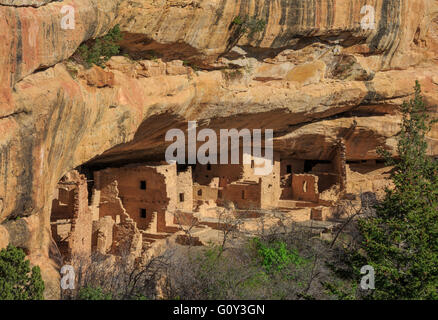 Spruce tree house cliff abitazione a Mesa Verde National Park, COLORADO Foto Stock