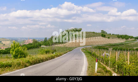 Stretta strada rurale lungo la collina con vigneti verde sotto il cielo blu in Piemonte, Italia settentrionale. Foto Stock