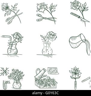 Design floreale segni in stile sketch isolati su sfondo bianco Illustrazione Vettoriale