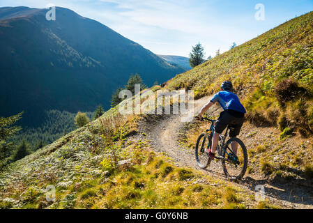 Mountain Biker sull'Altura un sentiero appositamente costruito attorno al Sentiero Foresta Whinlatter nel distretto del Lago Foto Stock