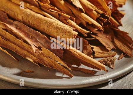 Messicano di corteccia di cannella Foto Stock