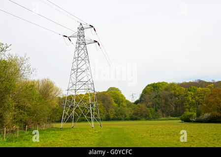 Elettricità tralicci spanning campi in prossimità di Flatford, Dedham Vale, Essex, Inghilterra, Regno Unito Foto Stock