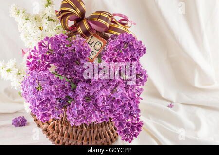 Viola fiori lilla in un cesto di vimini contro il bianco sullo sfondo di materie tessili Foto Stock