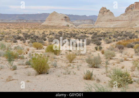 Questa immagine è un deserto paesaggio desertico con formazione di grande roccia. Foto Stock