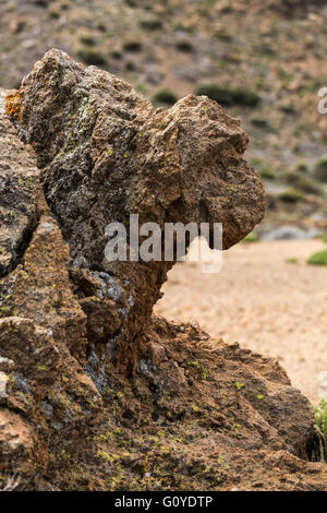 Formazione di roccia che assomiglia a una testa di animali lungo la siete canadas trail in Las Canadas del Teide national park, Tenerif Foto Stock