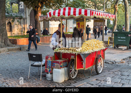 Splendida vista sui quartieri storici di Istanbul, Turkiye Foto Stock