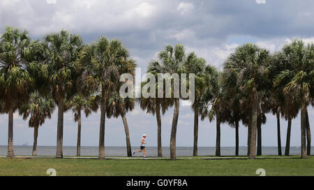 San Pietroburgo, Florida, Stati Uniti d'America. Il 5 maggio, 2016. DIRK SHADD | Orari .Aaron Freedman, 52, da San Pietroburgo, passa per una luce di sei miglia di eseguire presso la North Shore Park a San Pietroburgo giovedì pomeriggio (05/05/16). Freedman è un ultra runner che è la formazione di 50 miglia di eseguire a Key West entro questo mese. Freedman ha fatto tutti i tipi di gare di avventura, ultra maratona, in mountain bike e lunghe nuotate. (Nota: le immagini sono per un personale migliore cover story) © Dirk Shadd/Tampa Bay volte/ZUMA filo/Alamy Live News Foto Stock