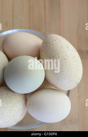 Le uova in diversi colori e dimensioni Foto Stock