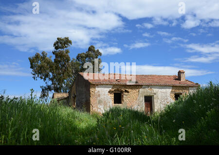 Abbandonato edificio fattoria nella campagna andalusa, Spagna Europa Foto Stock