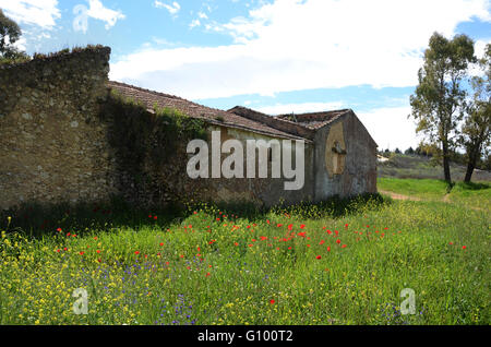 Abbandonato edificio fattoria nella campagna andalusa, Spagna Europa Foto Stock