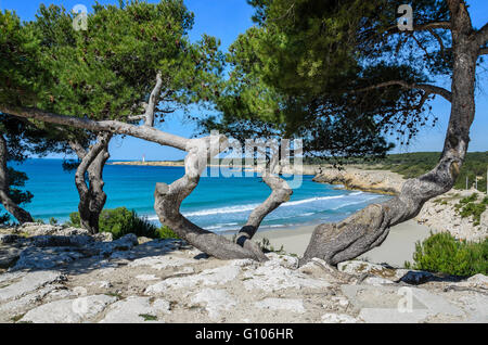 MARTIGUES, LA COURONNE, BDR FRANCIA 13 Foto Stock