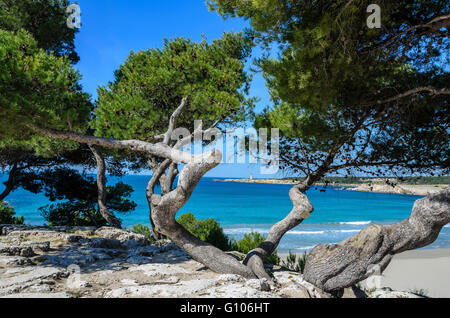 MARTIGUES, LA COURONNE, BDR FRANCIA 13 Foto Stock