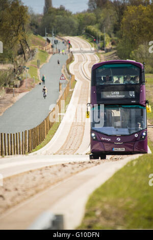 Bus viola sul nuovo guidato blindosbarra conducente e passeggeri visibile Foto Stock