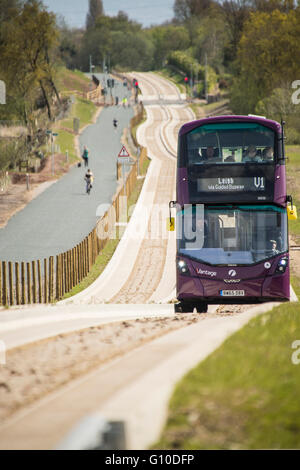 Bus viola sul nuovo guidato blindosbarra conducente e passeggeri visibile Foto Stock