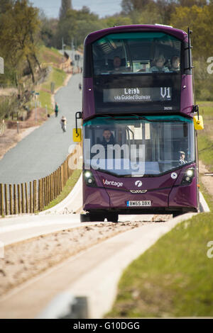 Bus viola sul nuovo guidato blindosbarra conducente e passeggeri visibile Foto Stock