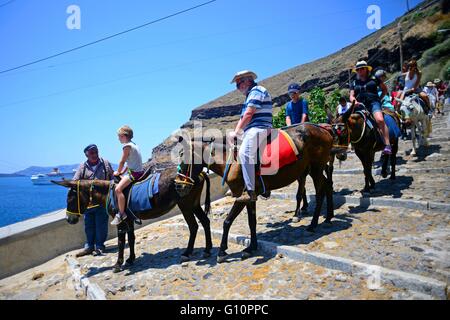 Mulo taxi e asino di equitazione a Fira, Santorini, una tradizione crudele che contribuisce all'abuso di animali, secondo le associazioni Foto Stock