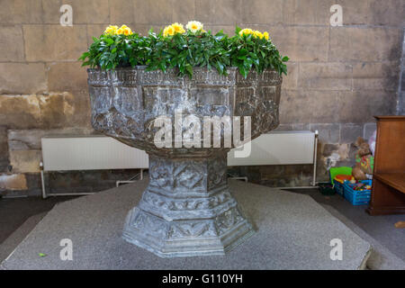 La pianta ottagonale fonte battesimale in pietra nella chiesa di Santa Maria, Beverley, Yorkshire e Humber, Inghilterra, Foto Stock