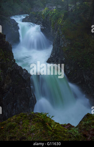 Little Qualicum Parco Provinciale, Parksville, Qualicum, British Columbia, l'isola di Vancouver, Canada, Cascata Foto Stock