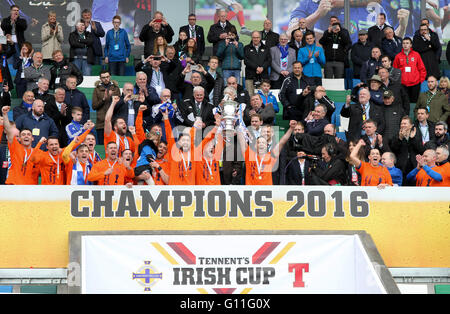 Belfast, Irlanda del Nord. 07Th Maggio 2016 Tennent's Irish Cup Final - Glenavon 2 Linfield 0. Il 2016 i vincitori della Coppa sollevare il trofeo. David Hunter/Alamy Live News Foto Stock