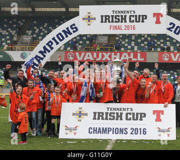 Belfast, Irlanda del Nord. 07Th Maggio 2016 Tennent's Irish Cup Final - Glenavon 2 Linfield 0. Glenavon celebrare la loro vittoria in coppa. David Hunter/Alamy Live News Foto Stock