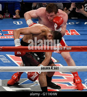 Las Vegas NV, Stati Uniti d'America. Il 7 maggio, 2016. (In rosso trunk) Messico Canelo Alvarez KO's britannico di Amir Khan nel sesto round sabato notte al T-Mobile Arena. Il Messico di Canelo ha preso la vittoria per KO per i pesi medi nel campionato del mondo di Las Vegas. Credit: Gene Blevins/ZUMA filo/Alamy Live News Foto Stock