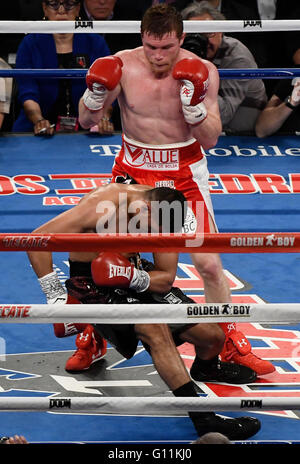 Las Vegas NV, Stati Uniti d'America. Il 7 maggio, 2016. (In rosso trunk) Messico Canelo Alvarez KO's britannico di Amir Khan nel sesto round sabato notte al T-Mobile Arena. Il Messico di Canelo ha preso la vittoria per KO per i pesi medi nel campionato del mondo di Las Vegas. Credit: Gene Blevins/ZUMA filo/Alamy Live News Foto Stock