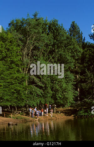 Foresta Umbra, il Parco Nazionale del Gargano, in Puglia, Italia Foto Stock