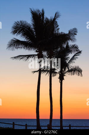 Silhouette di alberi di palma contro un cielo rosso tramonto a Cable Beach, Broome, Kimberley, Australia occidentale Foto Stock