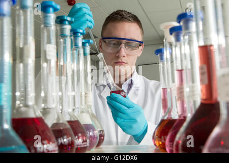 Gli scienziati forensi di esame e verifica di campioni Foto Stock