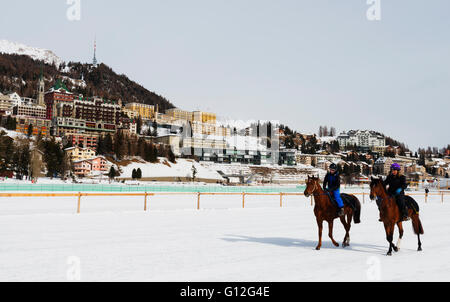 L'Europa, Svizzera, Grigioni, Engadina St Moritz in inverno, White Turf Concorso Ippico Internazionale Foto Stock