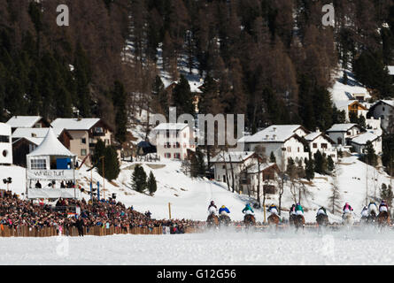 L'Europa, Svizzera, Grigioni, Engadina St Moritz in inverno, White Turf Concorso Ippico Internazionale Foto Stock