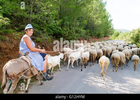 Krka, Croazia - 26 agosto 2004: Donna su un asino con il suo gregge di ovini e caprini Foto Stock