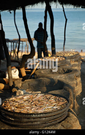 Pesce che fuma sulla riva del Lago Malawi, Chembe Village, Cape Maclear Foto Stock