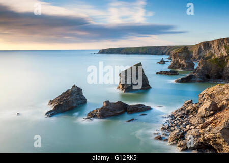 Una vista in direzione di Bedruthan Steps in North Cornish Coast tra Padstow e Newquay, Cornwall, England, Regno Unito, Europa. Foto Stock