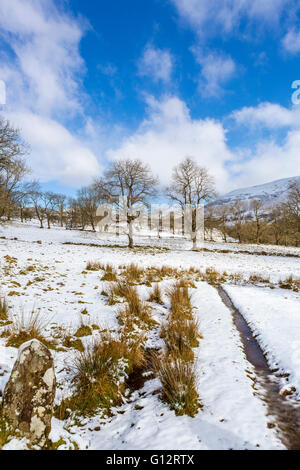 La Valle di Ewyas Vicino a Capel-y-ffin, Powys, Montagna Nera, Parco Nazionale di Brecon Beacons, Wales, Regno Unito, Europa. Foto Stock