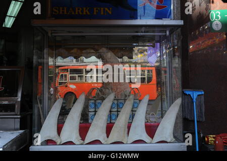 La riflessione di bus locale nella finestra di zuppa di pinne di pescecane ristorante, Chinatown, Bangkok, Thailandia. Credito: Kraig Lieb Foto Stock