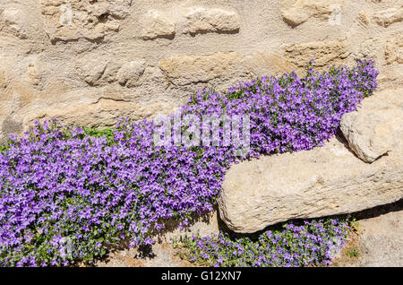 ANSOUIS, VAUCLUSE 84 FRANCIA BDR Foto Stock