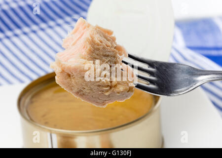 Pezzo di conserve di tonno in olio di oliva solo per mangiare. Come sfondo un tonno può aprire su un tovagliolo bianco con barre di colore blu Foto Stock