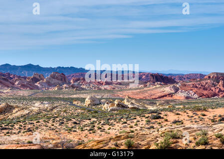 Rainbow Vista viewpoint. La Valle del Fuoco del parco statale, Nevada. Foto Stock