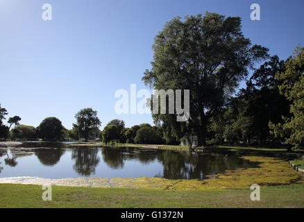 Hagley Park Christchurch Nuova Zelanda isola del sud Foto Stock