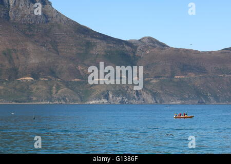 Hout Bay, Città del Capo, Sud Africa Foto Stock