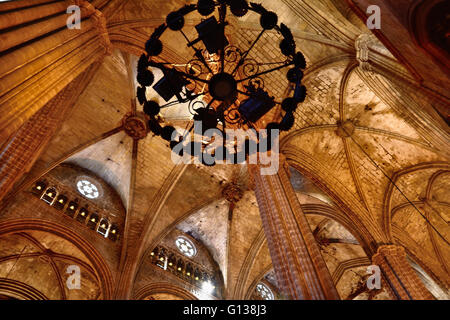 Cattedrale di Santa Croce e di Santa Eulalia. Barcellona, in Catalogna, Spagna, Europa Foto Stock