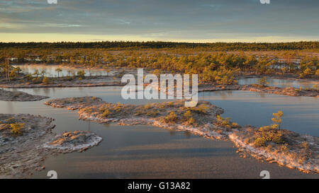 Mattina di sole presso il BOG Foto Stock